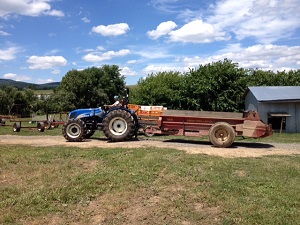 Polyface Farm Summer Internship: Week Eight Image